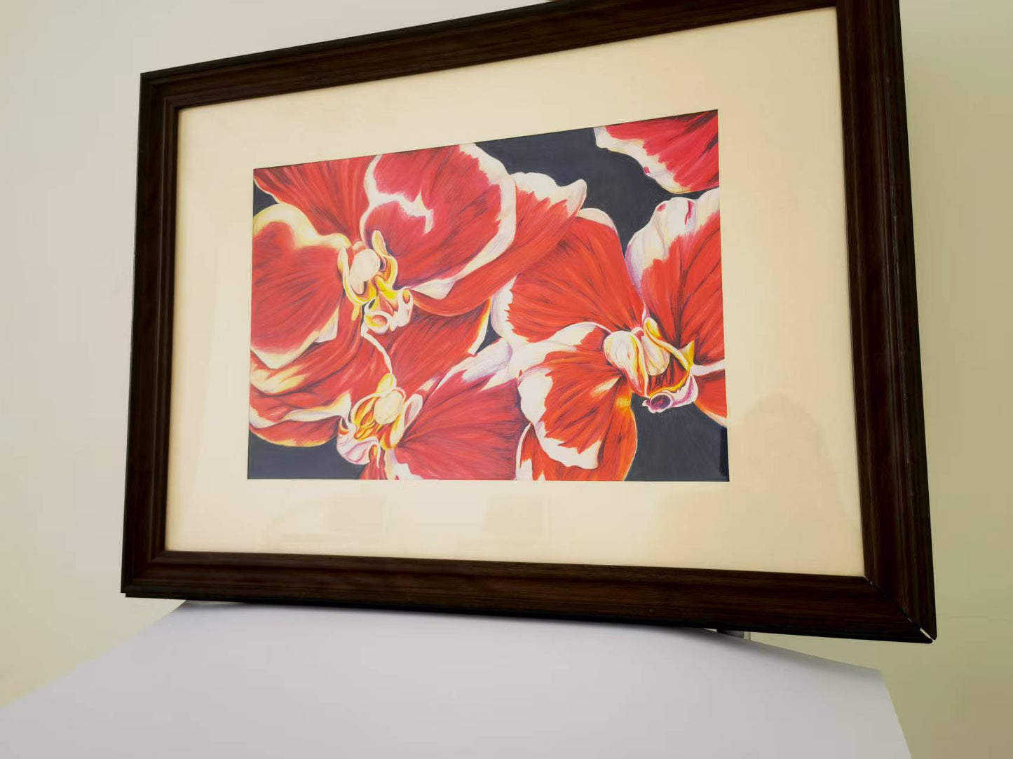 Butterfly Orchid