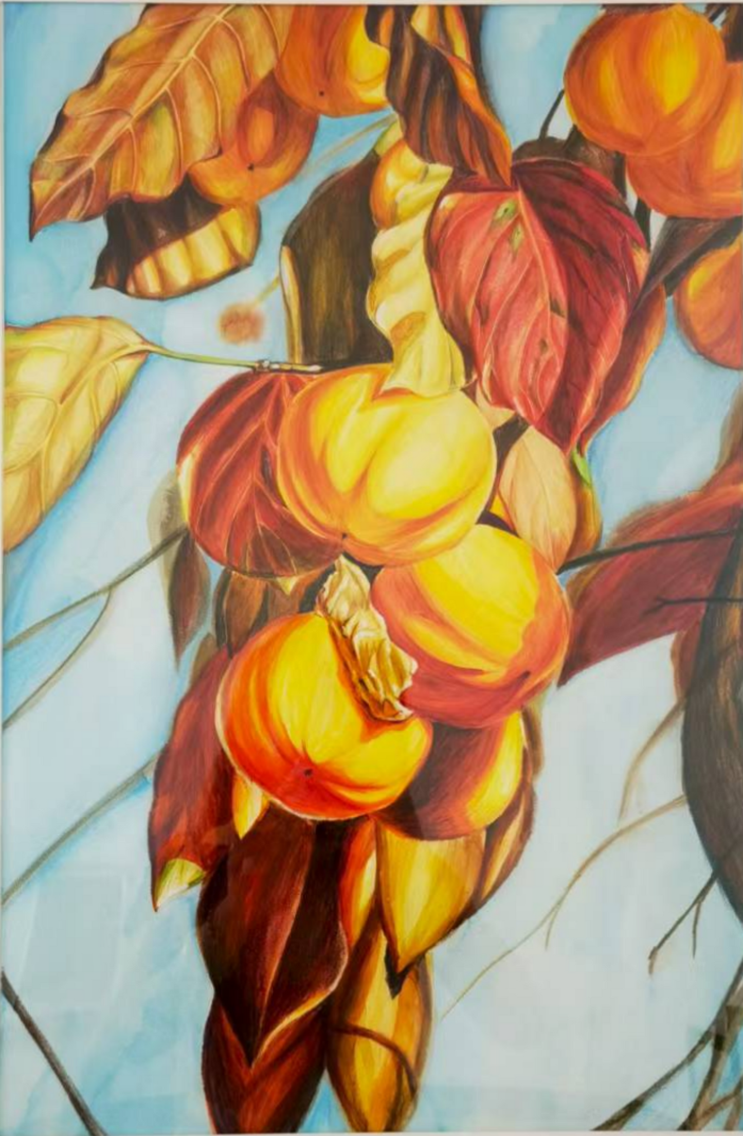 Every Persimmon Brings Good Fortune