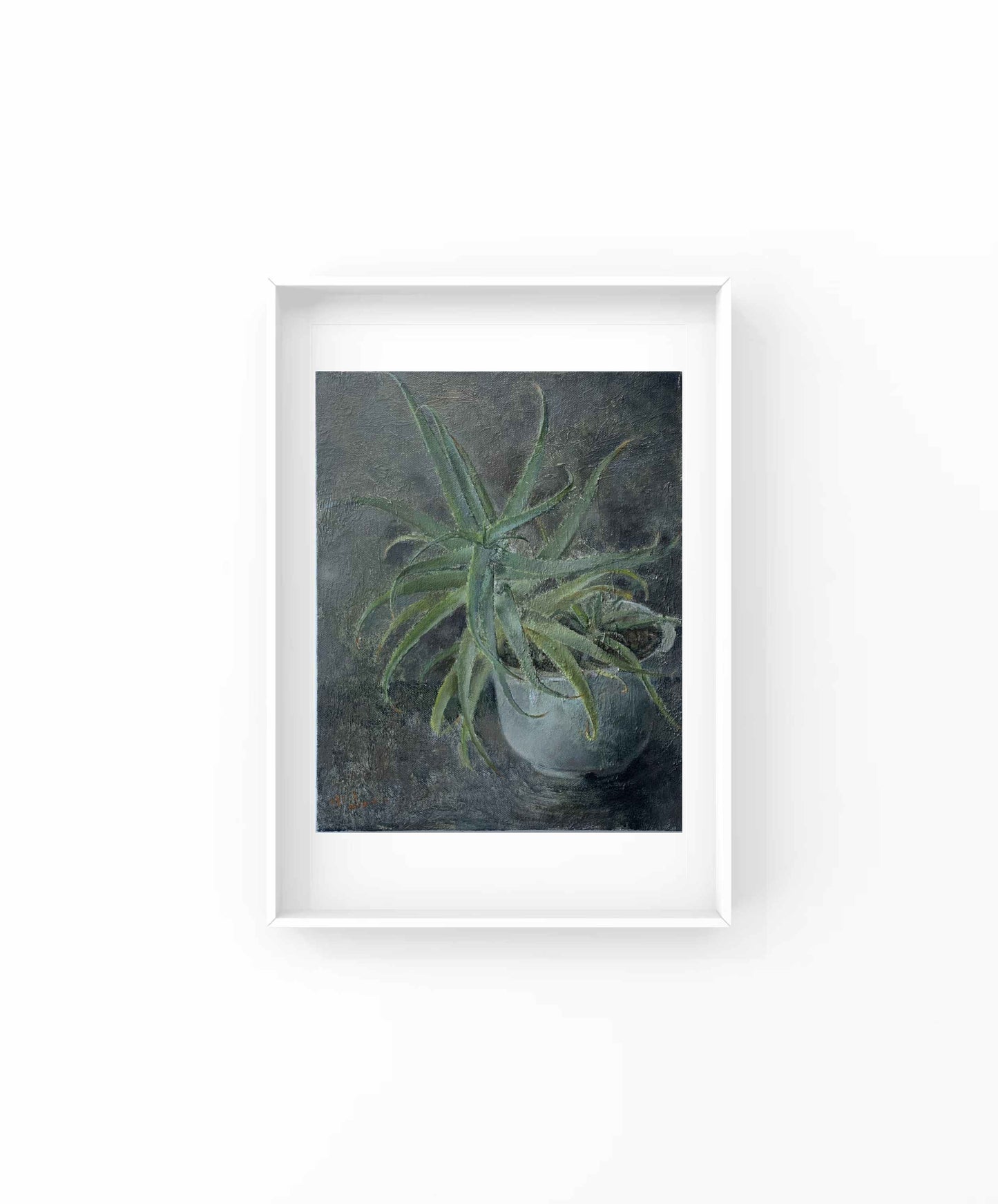 The Quiet Aloe