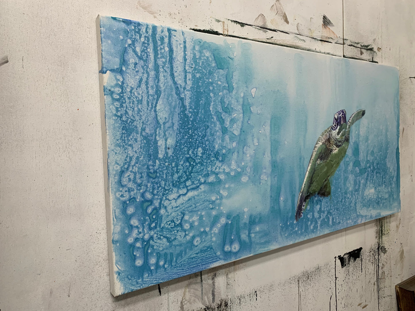 Underwater World: Roaming