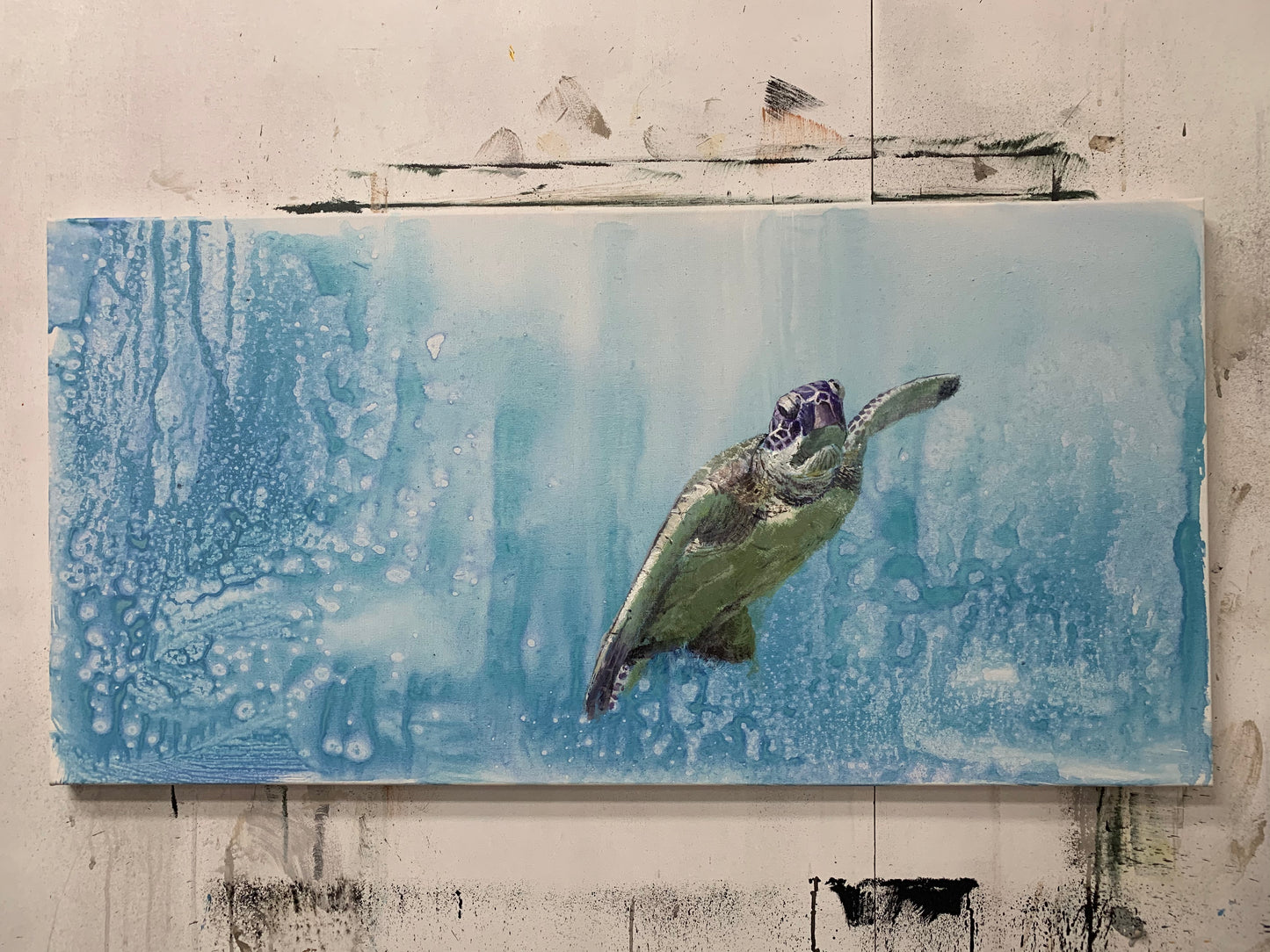 Underwater World: Roaming