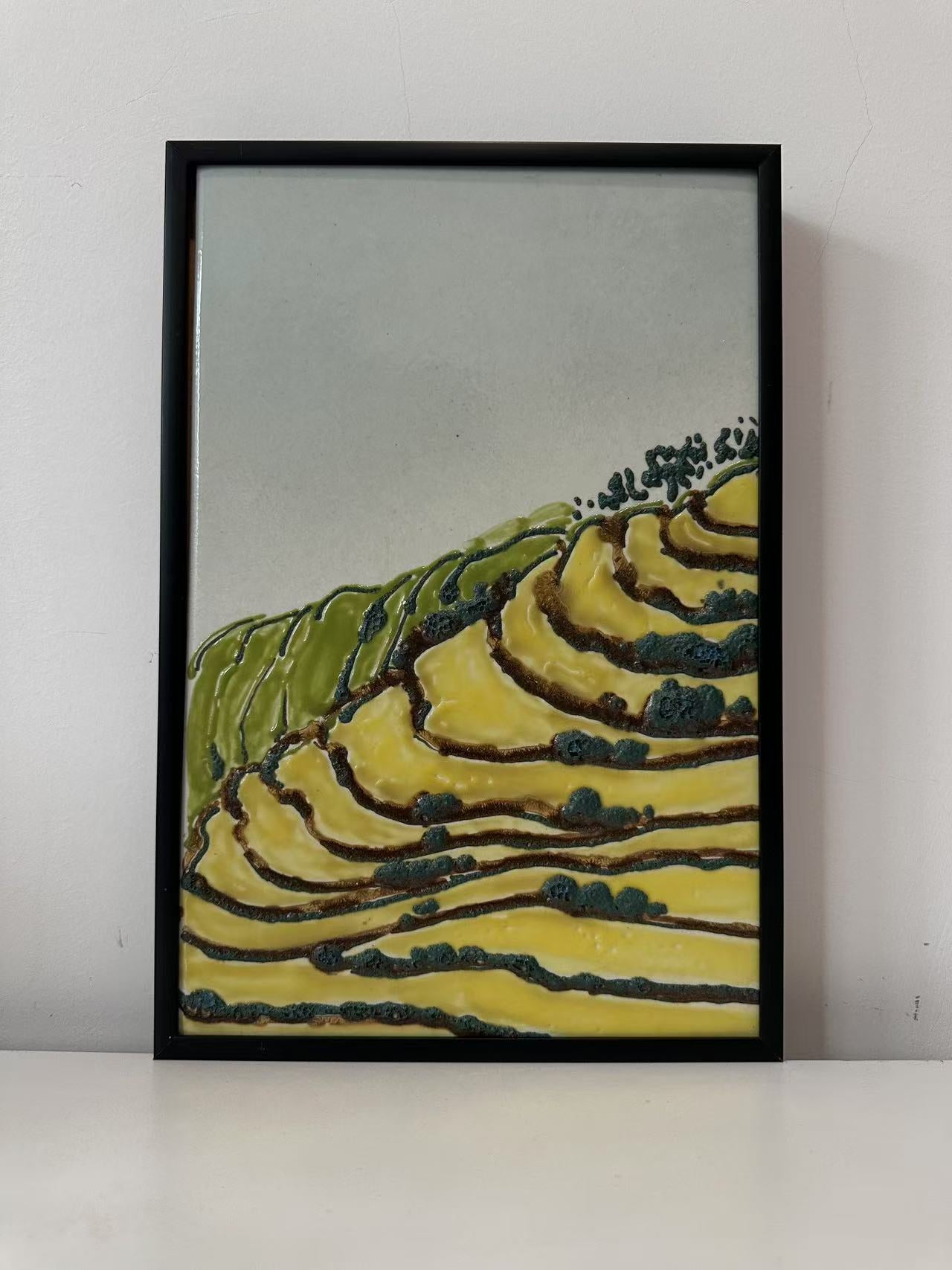 Terraced Fields in the Mountains