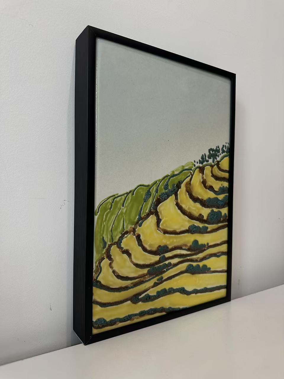 Terraced Fields in the Mountains