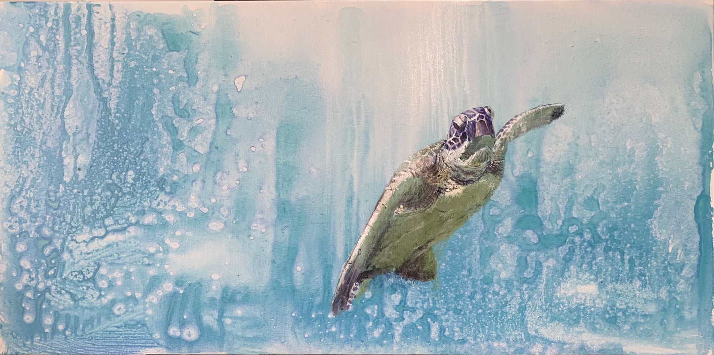 Underwater World: Roaming