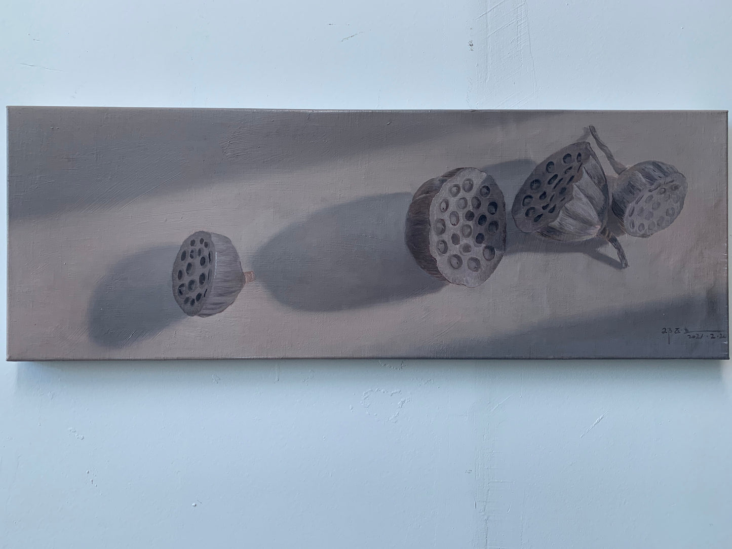 Lotus Seed Pods