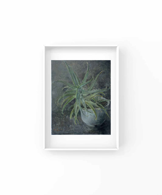 The Quiet Aloe