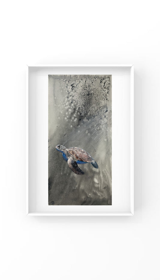 Undersea World: Swimming