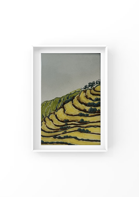 Terraced Fields in the Mountains