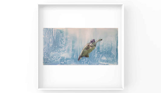 Underwater World: Roaming