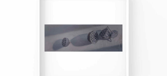 Lotus Seed Pods